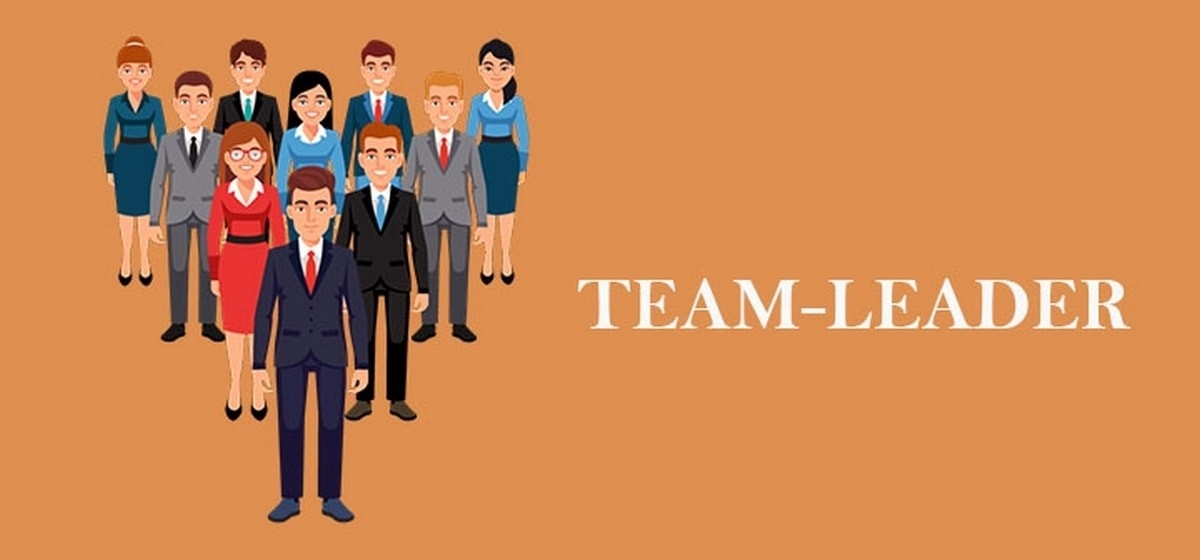 Team Leader NET En Vitae Consultores